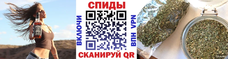 Бутират BDO 33%  купить наркоту  Гдов 