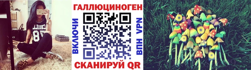 наркота  мега tor  Галлюциногенные грибы Magic Shrooms  Гдов 