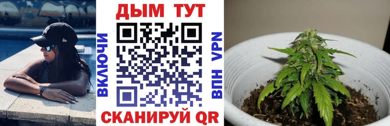 KRAKEN как зайти  Гдов  Каннабис Amnesia 